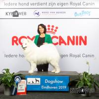 BEST_OF_BREED_1020_LR_DOGSHOW_EINDHOVEN_2019_KYNOWEB_KY3_7138_20190202_13_42_12
